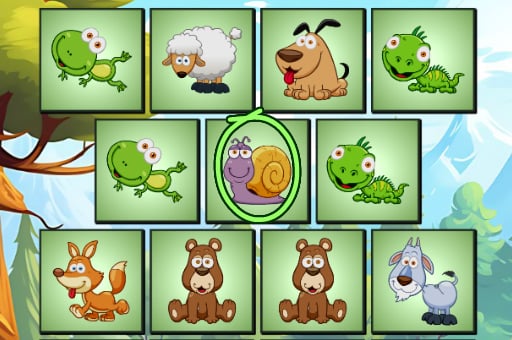 Spot Unique Animal | Sharpen Your Observation Skills